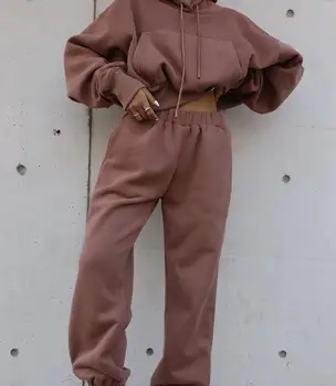 Toamna Iarna Streetwear Femei Joggeri 2 Seturi De Piese Hanorac Pantaloni Două Bucata Set Trening Fleece Costume De Trening
