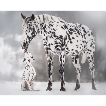 5D Diy Complet Daimond Mozaic Cross-stitch-White horse 3D Diamond Tablou Plin de Pietre Picturi Broderie Cadouri