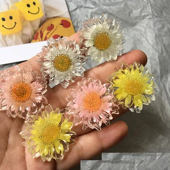10buc 37mm manual DIY cercei accesorii rășină picurare gel shell daisy nemuritoare floare în interiorul farmec frizură tag