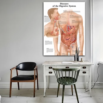 Sistemul digestiv Imagini Diagrame Anatomice Și Postere Anatomie Diagrame Boli Poze de Perete pentru Educație Medicală Medici