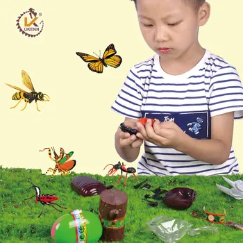 4 Buc Animale Insecte Puzzle Educative Stiinte Jucarii pentru Copii - 24 de tipuri de Insecte