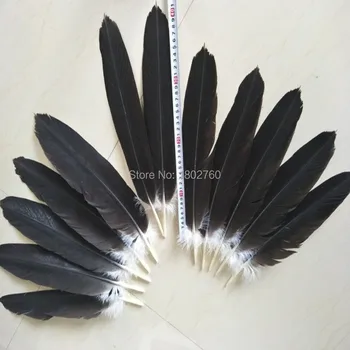 En-gros de un set de (12buc) complet eagle coada pene de 40-45 cm /16-18 cm pentru etapa sărbătoare pene decor